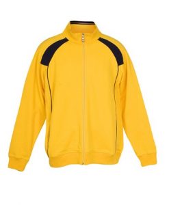 Mens Collar Bone Zip Thru Hoodie - Gold/Navy