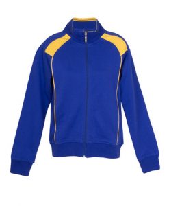Mens Collar Bone Zip Thru Hoodie - Royal/Gold