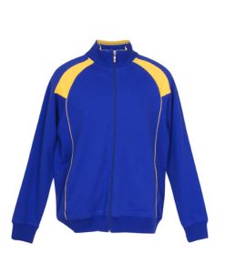 womens Collar Bone Zip Thru Hoodie - Royal/Gold